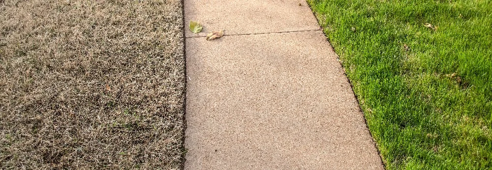 Trockener und grüner Rasen durch Gehweg getrennt